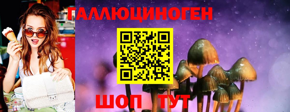 Галлюциногенные грибы мицелий Тавда