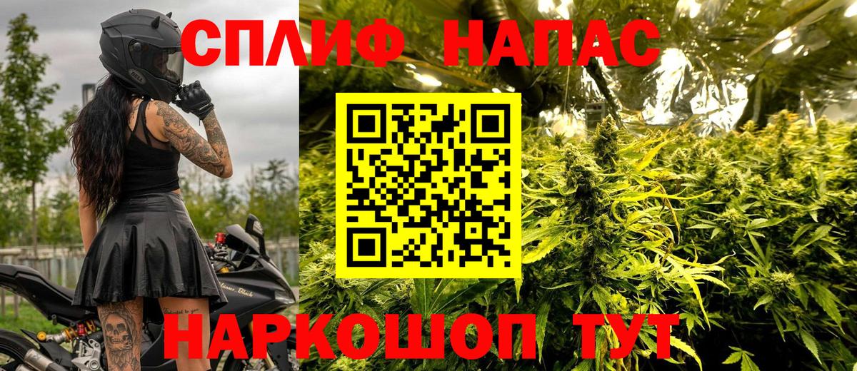 Марихуана OG Kush  Вход с VPN  Марихуана планчик  Тавда  Конопля сатива 
